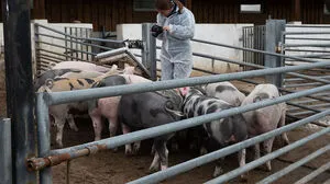 Hinter den Kulissen der Dreharbeiten