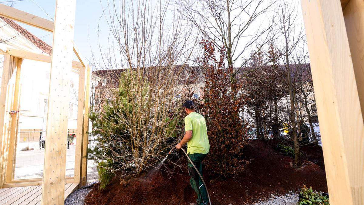 Eine rund 100 Quadratmeter große Waldoase soll zum Ausruhen und Abkühlen einladen. Eröffnet wird am 28. April