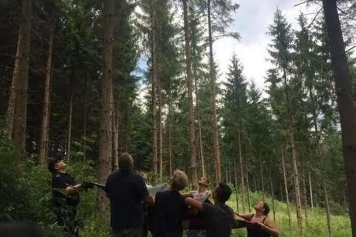 Top 9: Eine seit Tagen vermisste Katze wurde in Voitsberg von der Feuerwehr von einem Baum gerettet.