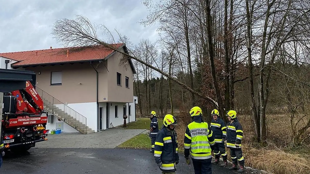 Die Feuerwehren mussten zahlreiche umgestürzte Bäume von den Straßen und Häusern räumen