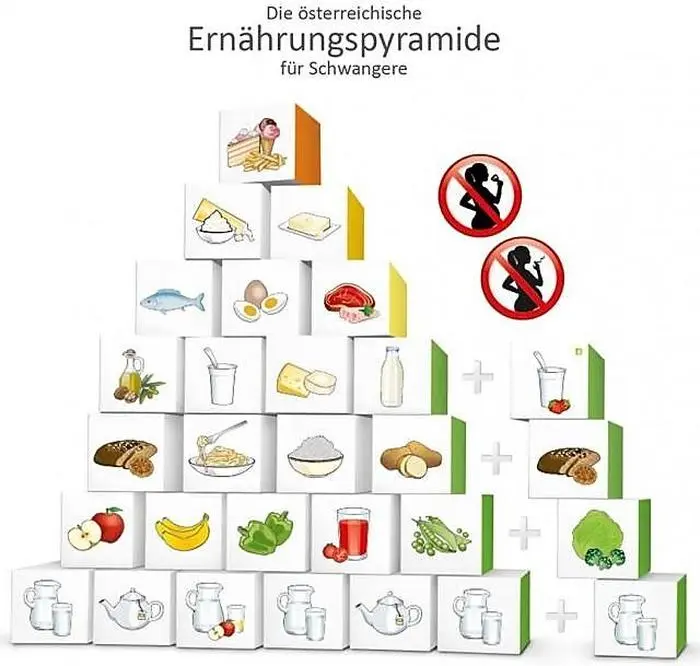 Ernährungspyramide für Schwangere
