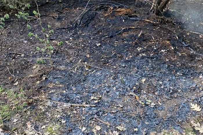 Der Brand konnte gelöscht werden