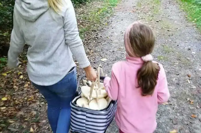 Über einen Korb voller Pilze freuen sich Clara (5 Jahre) und ihre Mama nach einem Spaziergang im Wald.