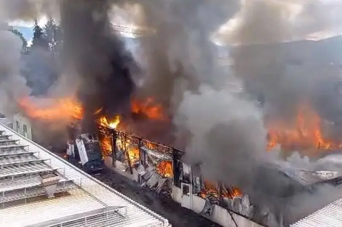 Die Halle stand in Vollbrand. Sie konnte nicht gerettet werden.