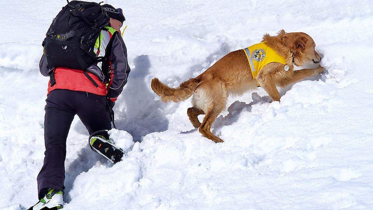 In der Innerkrems wurden Bergretter mit ihren Hunden für den Einsatz geschult