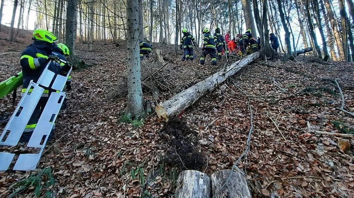 Bei einem Forstunfall im Rosental wurde am Samstag eine Person verletzt