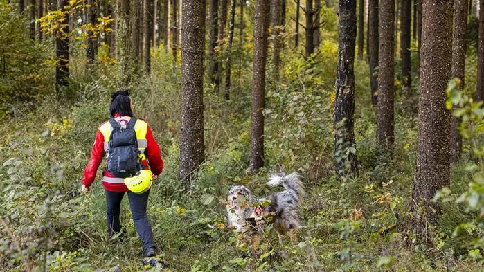 Neben der Rettungshundestaffel waren zahlreiche Einsatzorganisationen an der Suche beteiligt (Symbolfoto)