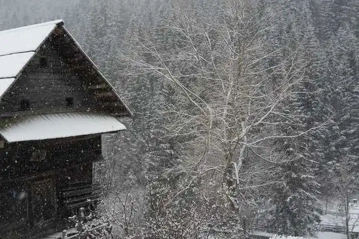Klicken Sie sich durch die ersten Schneefotos!