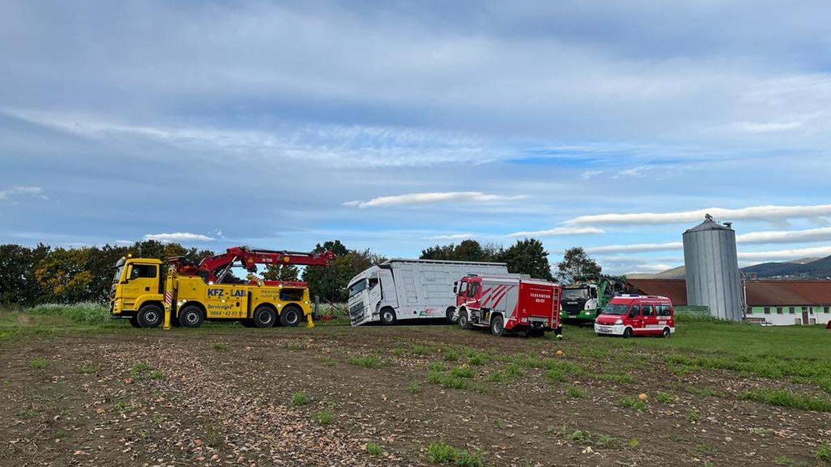 Ein Schweinetransporter ist in den Graben gefahren und umgekippt