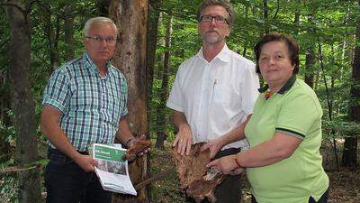 Reisinger, Ofner und Hammerlindl appellieren an die Waldbesitzer