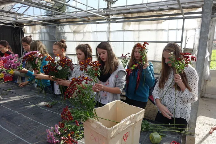 Zum Abschluss durften sich die Schüler selbst noch als Floristen probieren - ...