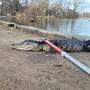 Der 1,2 Meter lange Alligator