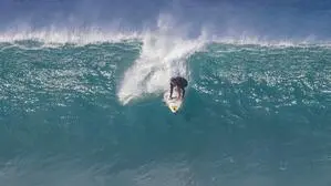 Wird die FPÖ auch 2025 auf der Erfolgswelle surfen?