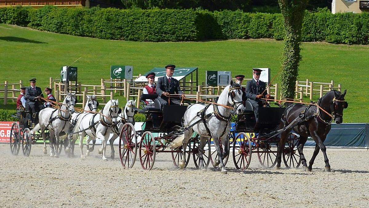 In der heurigen Saison bietet Piber Erlebnistage im Gestüt an 