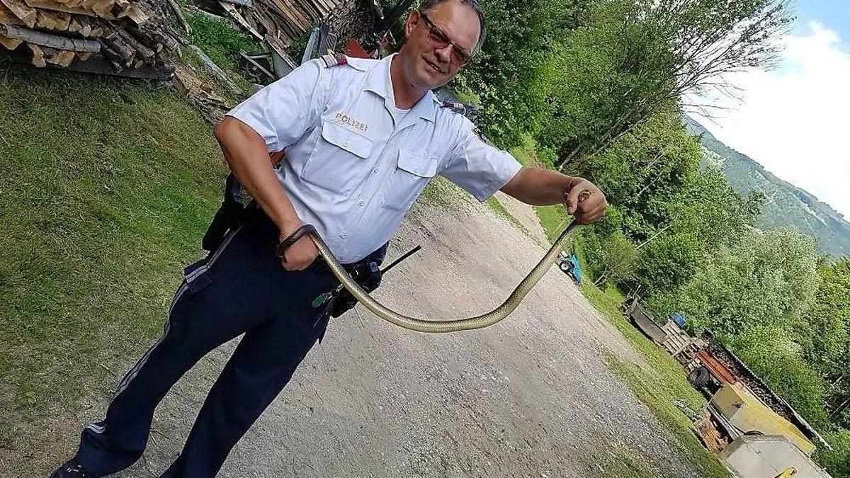 Die Polizei konnte das Tier aus dem Netz befreien