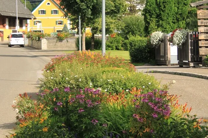 Fünf Floras