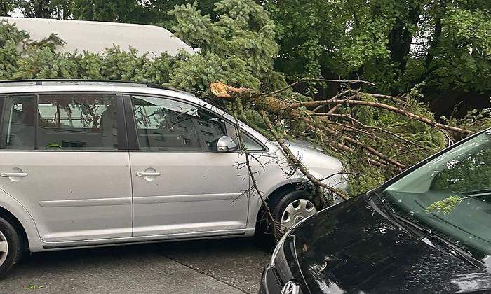 In Villach stürzten entwurzelte Bäume auf Autos