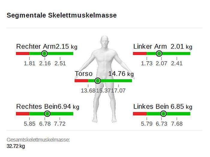 Die Analyse ist detailliert: Jedes Körpersegment kann einzeln ausgewertet werden