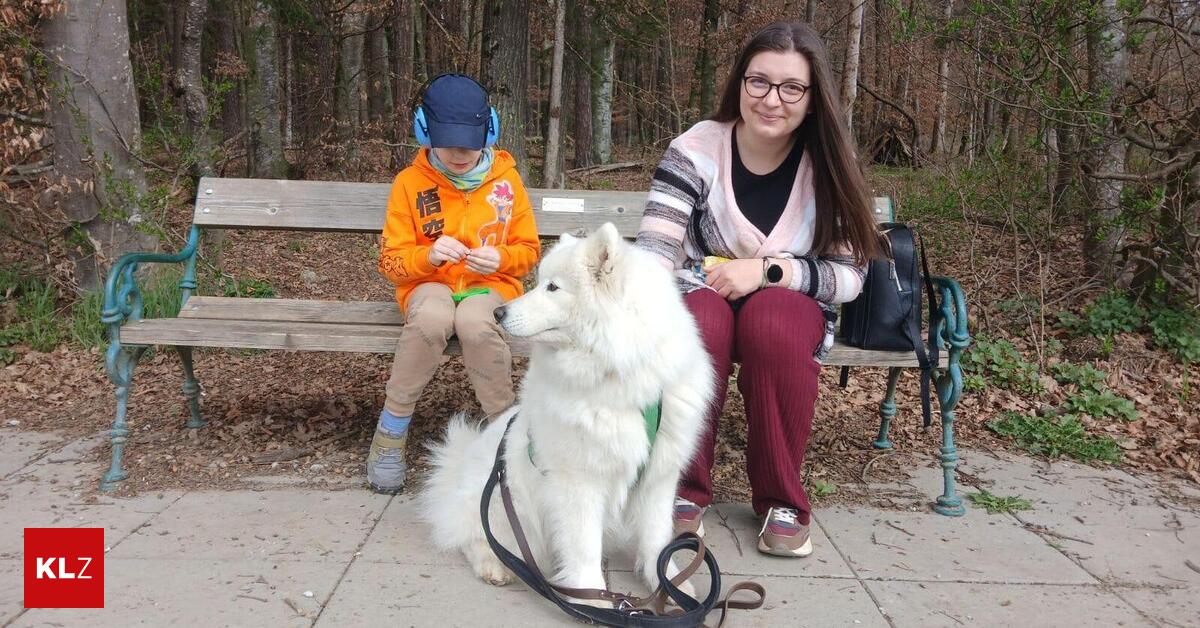 ADHS-und-Autismus-Assistenzhund-f-r-Achtj-hrigen-Er-w-re-eine-riesige-Entlastung-im-Alltag-