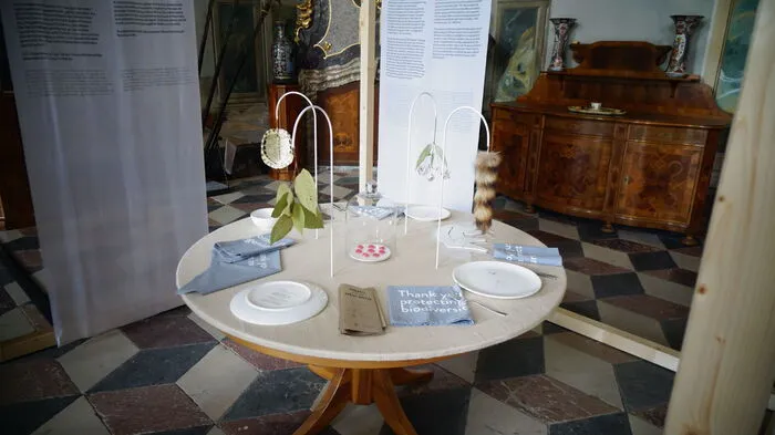 "Ad mensam" - "zu Tisch" - lautet das Motto der vierten Design-Ausstellung in Schloss Hollenegg.
