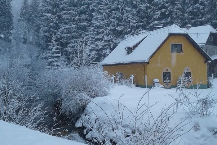 Wald am Schoberpass mit einer 20 Zentimeter hohen Schneedecke