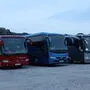 Busreisen Lassnig ist ein Griffner Traditionsbetrieb, der nun einen neuen Standort im Gewerbepark bauen will