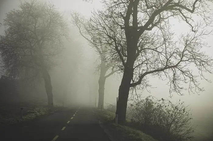 sujet wetter kalt frost nebel duster düster