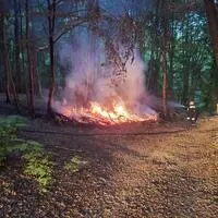 Aus unbekannter Ursache brannte ein Holzhaufen in einem Wald bei Unterlamm