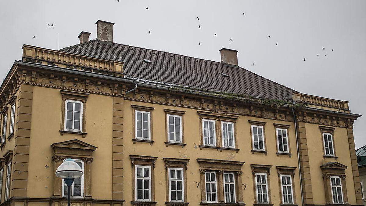 Vor allem am Dach zeigen sich die baulichen Mängel des Hauses