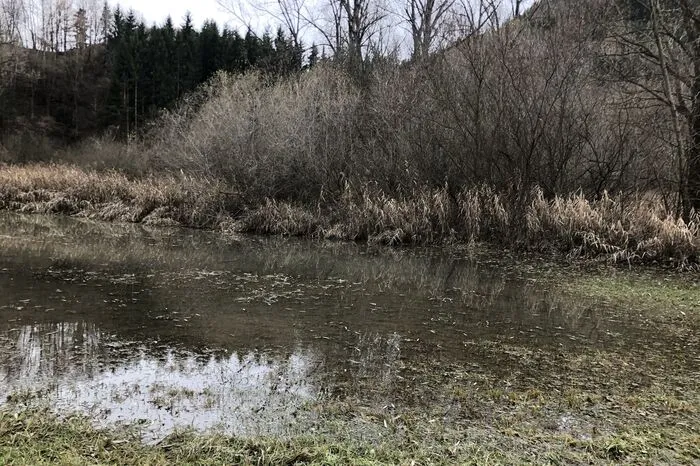 Klicken Sie sich durch die Bilder!
