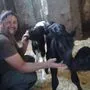 Freut sich über die Kälber: Landwirt und Vizebürgermeister Peter Kaimbacher
