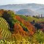 Herbst, Steiermark, Weinberge