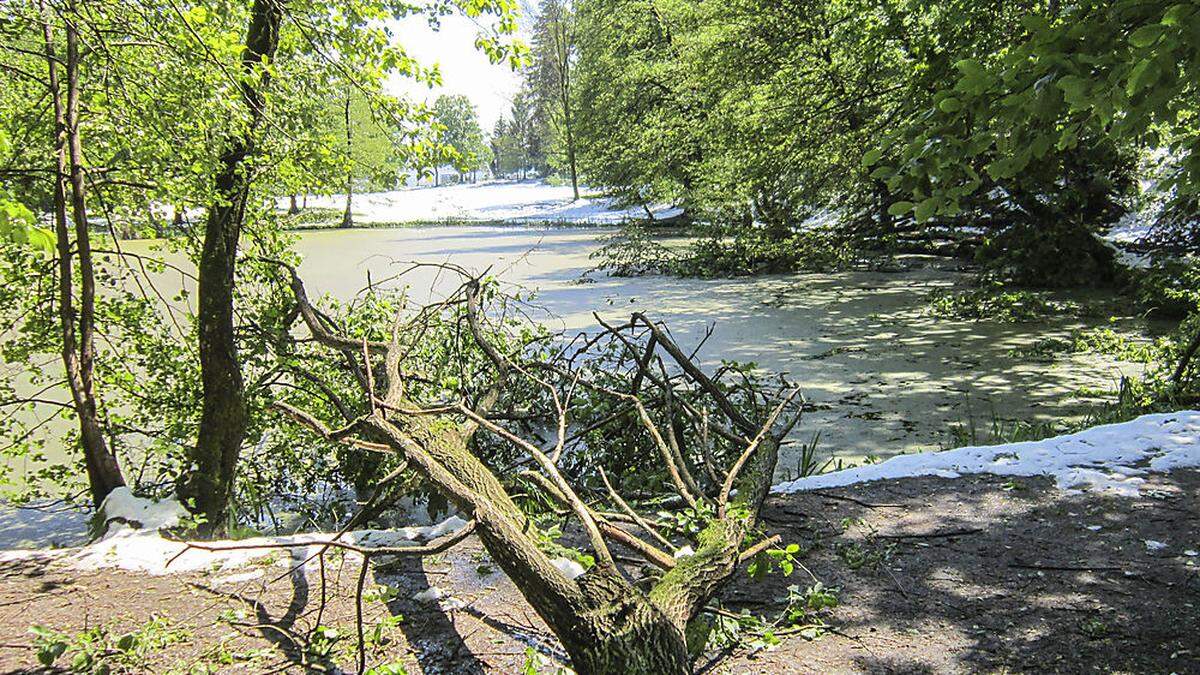 Schnee Ende April sorgte für enorme Schäden