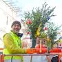 Sie Roland Mitteregger von der Stadtgemeinde Lienz, der mit seinen Kollegen die Palmbesen montiert hat
