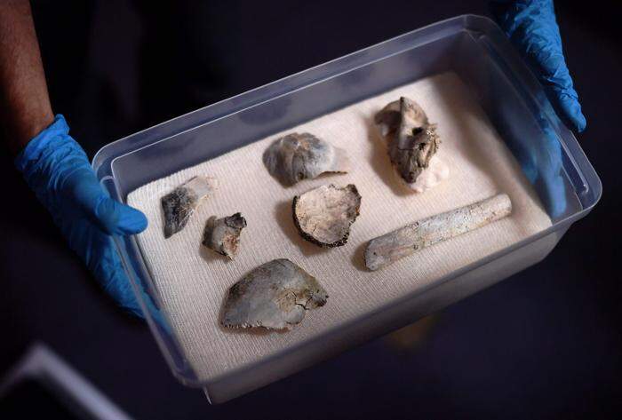 Die Überreste von "Luzia" wurden im Schutt gefunden.