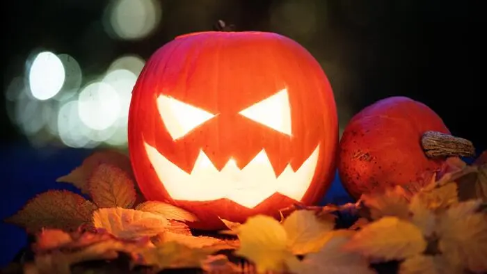 Sujetfoto: geschnitzter Halloween-Kürbis