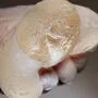 Ein defektes Brustimplantat der französischen Firma Poly Implant Prothese 