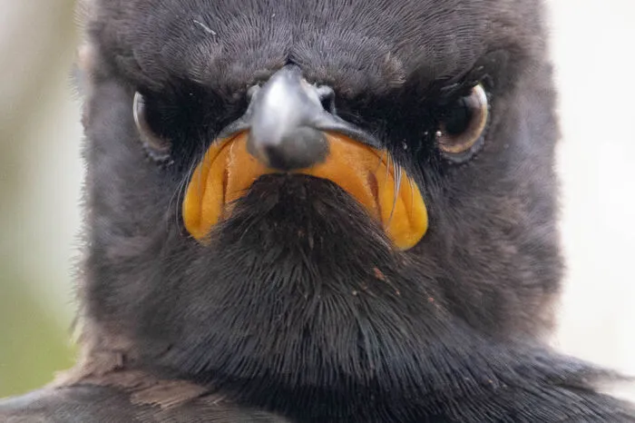 Viel Spaß beim Durchklicken der Fotos!