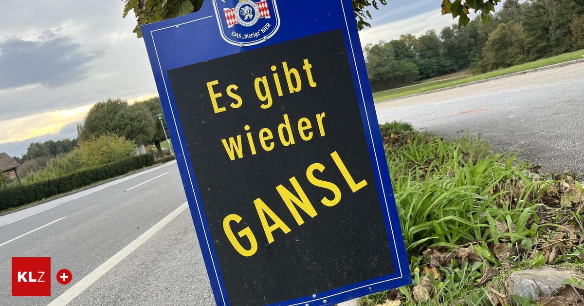 Pro-Kontra-Muss-man-das-vegane-Martinigansl-la-Vegansl-m-gen-