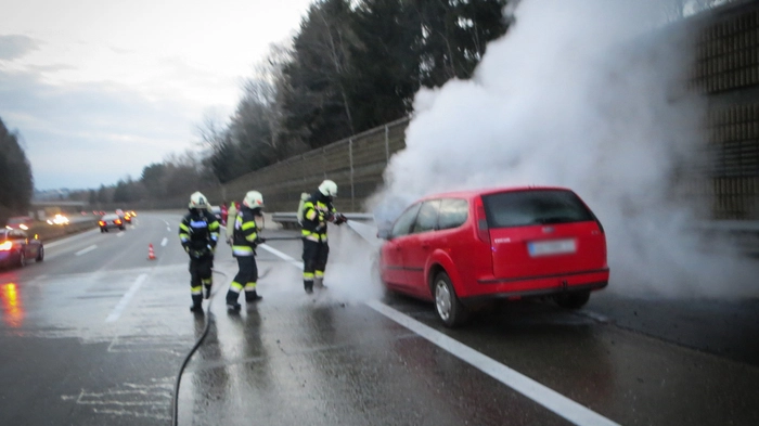 14 Kameraden der Feuerwehr Nestelbach standen am Samstagnachmittag mit zwei Fahrzeugen eine Stunde im Einsatz.