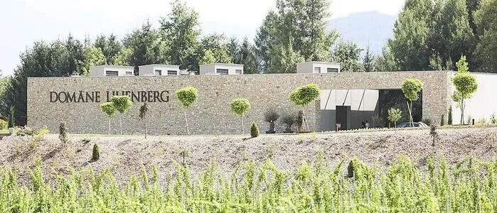 Das Weingut Domäne Lilienberg ist pleite, die Webseite existiert bereits seit geraumer Zeit nicht mehr