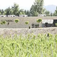 Das Weingut Domäne Lilienberg ist pleite, die Webseite existiert bereits seit geraumer Zeit nicht mehr