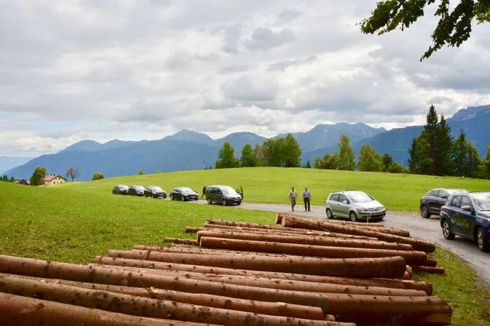 100.000 Festmeter Holz liegen am Boden und können nicht aufgearbeitet oder abtransportiert werden, weil die L29 Guggenbergstraße mit Gewichtsbeschränkungen belegt ist.