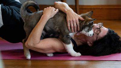 In Italien müssen Yoga Fans auf Einheiten mit Tieren verzichten