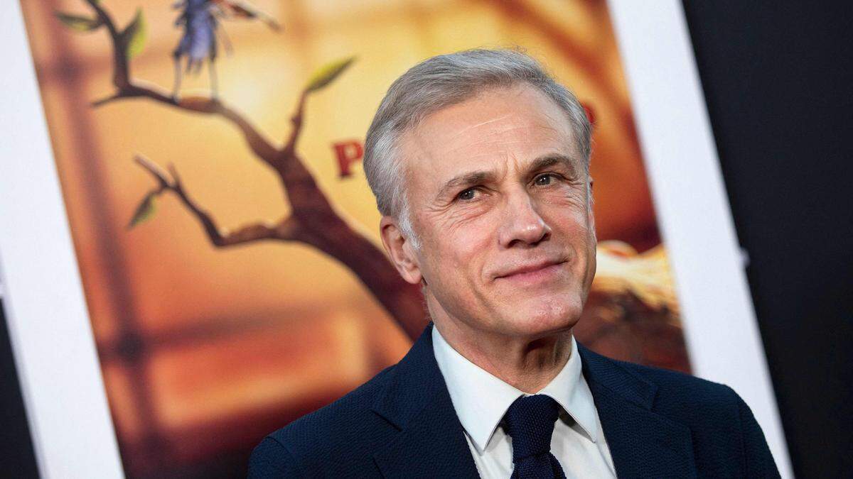 Christoph Waltz: &quot;Habe keine Ahnung, wie man sich als Amerikaner fühlt&quot;