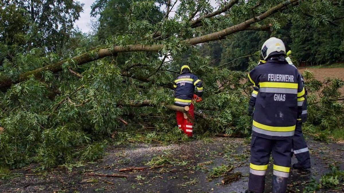 Im Gnaser Ortsteil Thien war die L281, Thienerstraße, durch umgestürzte Bäume unpassierbar