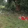 Kerzen an der Unfallstelle