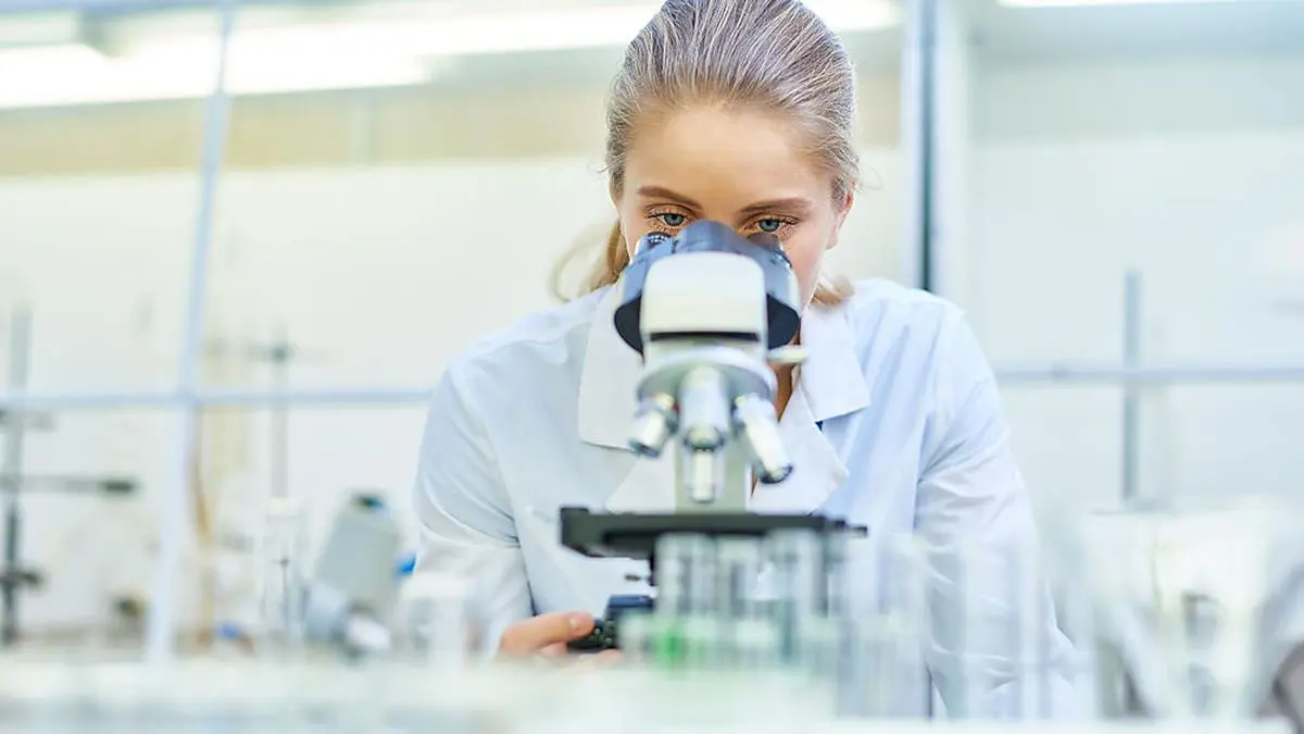 In einer Tabakpflanze wurden die Antikörper hergestellt