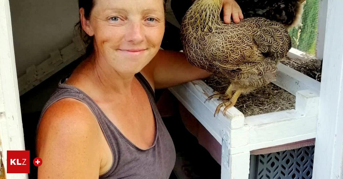 Chronisch krank Diese Hühner legen keine Eier, aber haben ihr eigenes Zimmer