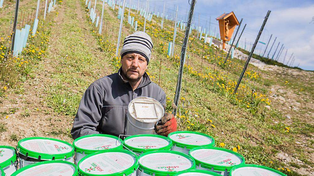 Alexander Egger schützt seinen Weingarten mit Paraffinkerzen